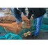 Our Seine Nets