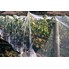 Our Agricultural Nets