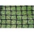 Our Agricultural Nets